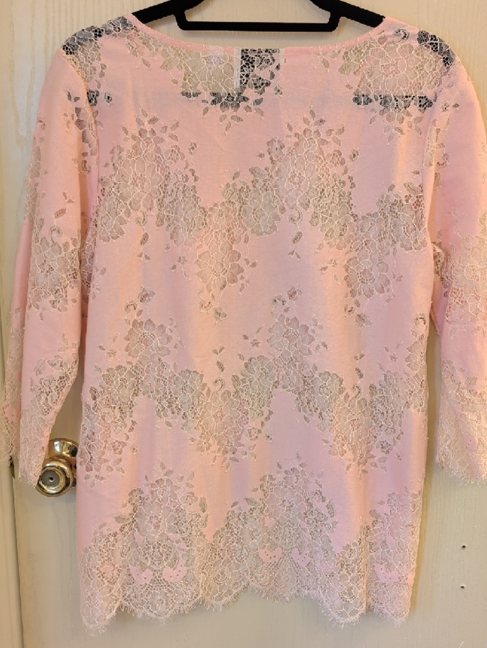 Linea by Louis Dell'Olio Blush Pink Lace Top Size 8 | 3/4 Sleeve Floral Overlay - Picture 3 of 7